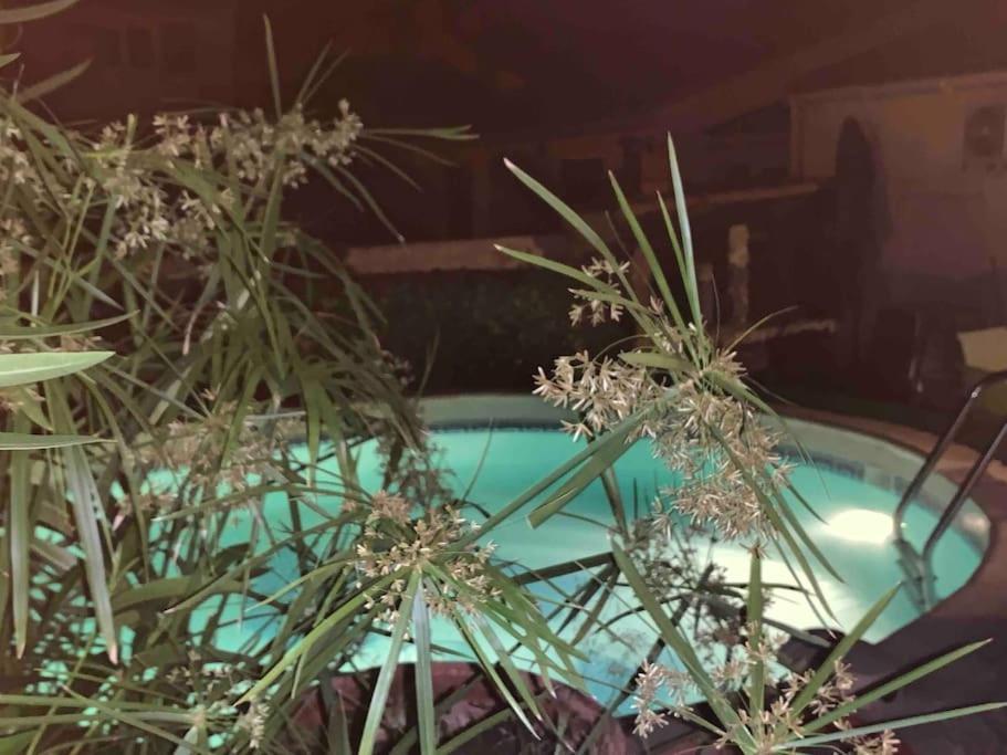 Piscine Cosy, 3 Chambres, 3 Sdb, Havre De Paix A 10 Min Des Plages 모기오 외부 사진
